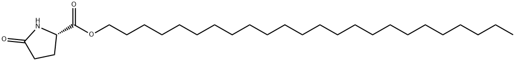 tetracosyl 5-oxo-L-prolinate Struktur