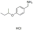 (4-BUTAN-2-YLOXYPHENYL)METHANAMINE,HYDROCHLORIDE, 37806-46-5, 结构式