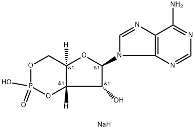 アデノシン3',5'-環状一りん酸ナトリウム水和物 化学構造式