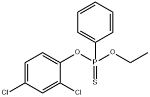 EPBP Structure