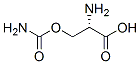 O-carbamylserine Struktur