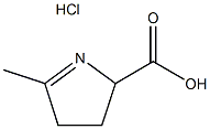5-methyl-3,4-dihydro-2H-pyrrole-2-carboxylic acid hydrochloride Structure
