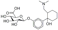 O-Desmethyl Tramadol β-D-Glucuronide Structure