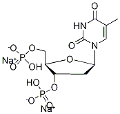 ThyMidine 3