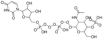 1-[5-[[[[3-acetamido-4-hydroxy-6-(hydroxymethyl)-5-sulfooxy-oxan-2-yl]oxy-hydroxy-phosphoryl]oxy-hydroxy-phosphoryl]oxymethyl]-3,4-dihydroxy-oxolan-2-yl]-2,4-dioxo-pyrimidine Struktur