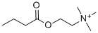 2-(ブチリルオキシ)-N,N,N-トリメチルエタンアミニウム 化学構造式