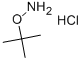 邻叔丁基羟胺盐酸盐,39684-28-1,结构式