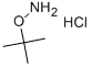 O-TERT-BUTYLHYDROXYLAMINE HYDROCHLORIDE