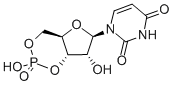Uridine 3',5'-cyclic monophosphate Struktur