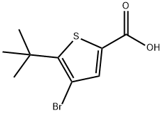 4-Bromo-5-(1,1-dimethylethyl)-2-thiophenecarboxylicacid 结构式