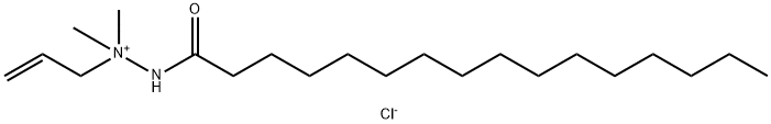 1-allyl-1,1-dimethyl-2-palmitoylhydrazinium chloride Structure
