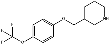 3-([4-(TRIFLUOROMETHOXY)PHENOXY]METHYL)PIPERIDINE Structure