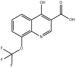 4-Hydroxy-8-trifluoromethoxyquinoline-3-carboxylic acid 结构式