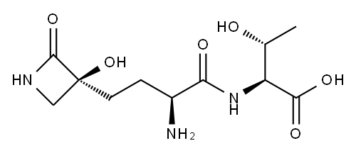 tabtoxin Struktur