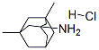 Memantine HCl|盐酸美金刚