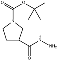 3-ヒドラジノカルボニル-ピロリジン-1-カルボン酸 TERT-ブチル エステル 化学構造式