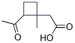 Cyclobutaneacetic acid, 2-acetyl-1-methyl- (9CI) Structure