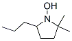 Pyrrolidine, 1-hydroxy-2,2-dimethyl-5-propyl- (9CI) Structure