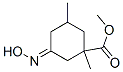 Cyclohexanecarboxylic acid, 3-(hydroxyimino)-1,5-dimethyl-, methyl ester (9CI) 结构式
