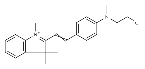 2-[2-[4-[(2-chloroethyl)methylamino] phenyl] ethenyl]-1,3,3-trimethyl-3H-Indolium Structure