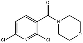 (2,6-dichloropyridin-3-yl)(Morpholino)Methanone Struktur