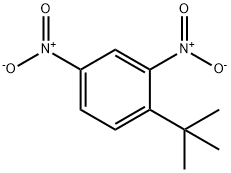 2,4-dinitro-1-tert-butyl-benzene Struktur