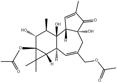 9a-アセチルオキシ-3-(アセチルオキシメチル)-1,1aα,1bβ,4,4a,7aα,7b,8,9,9a-デカヒドロ-4aβ,7bα,9β-トリヒドロキシ-1,1,6,8α-テトラメチル-5H-シクロプロパ[3,4]ベンゾ[1,2-e]アズレン-5-オン 化学構造式