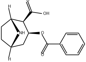 BENZOYL NORECGONINE|苯甲酰降爱康宁