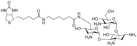 BIOTINAMIDOCAPROATE TOBRAMYCIN AMIDE Structure