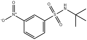 N-T-BUTYL 3-NITROBENZENESULFONAMIDE 化学構造式