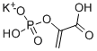 PHOSPHOENOLPYRUVIC ACID MONOPOTASSIUM SALT Struktur