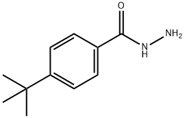 对叔丁基苯甲酰肼, 43100-38-5, 结构式