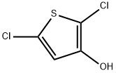 Thiophene-3-ol,  2,5-dichloro- Structure