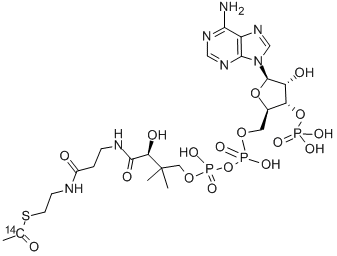 4332-37-0 ACETYL COENZYME A, [ACETYL-1-14C]