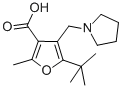 5-TERT-BUTYL-2-METHYL-4-PYRROLIDIN-1-YLMETHYL-FURAN-3-CARBOXYLIC ACID 结构式