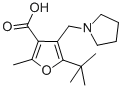 5-TERT-BUTYL-2-METHYL-4-PYRROLIDIN-1-YLMETHYL-FURAN-3-CARBOXYLIC ACID Structure