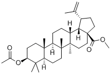 Methyl-3b-acetoxybetulinate Struktur