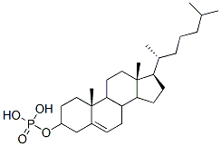 cholesteryl phosphate 化学構造式