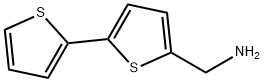 2,2'-ビチオフェン-5-メチルアミン 化学構造式