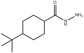Cyclohexanecarboxylic acid, 4-(1,1-dimethylethyl)-, hydrazide (9CI) Struktur