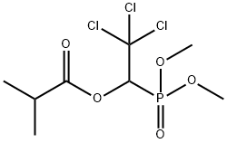 Isobutyric acid 2,2,2-trichloro-1-(dimethoxyphosphinyl)ethyl ester Structure