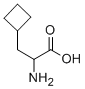 环丁基丙氨酸 结构式