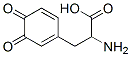 4-(2-Carboxy-2-aminoethyl)-1,2-benzoquinone Structure