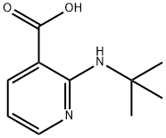 2-(叔丁基氨基)烟酸, 460044-25-1, 结构式