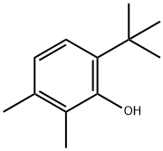 6-tert-butyl-2,3-xylenol 结构式