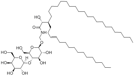 CDH|乳糖苷