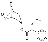 (S)-α-(ヒドロキシメチル)ベンゼン酢酸(1R,2R,4S,5S)-3-オキサ-9-アザトリシクロ[3.3.1.02,4]ノナン-7α-イル 化学構造式