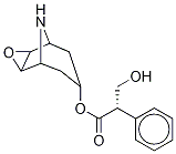 去甲东莨菪碱,4684-28-0,结构式