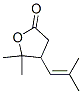 4,5-Dihydro-5,5-dimethyl-4-(2-methyl-1-propenyl)furan-2(3H)-one Struktur