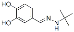 Benzaldehyde, 3,4-dihydroxy-, (1,1-dimethylethyl)hydrazone (9CI) Struktur
